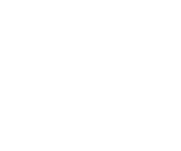 twitterx white icon